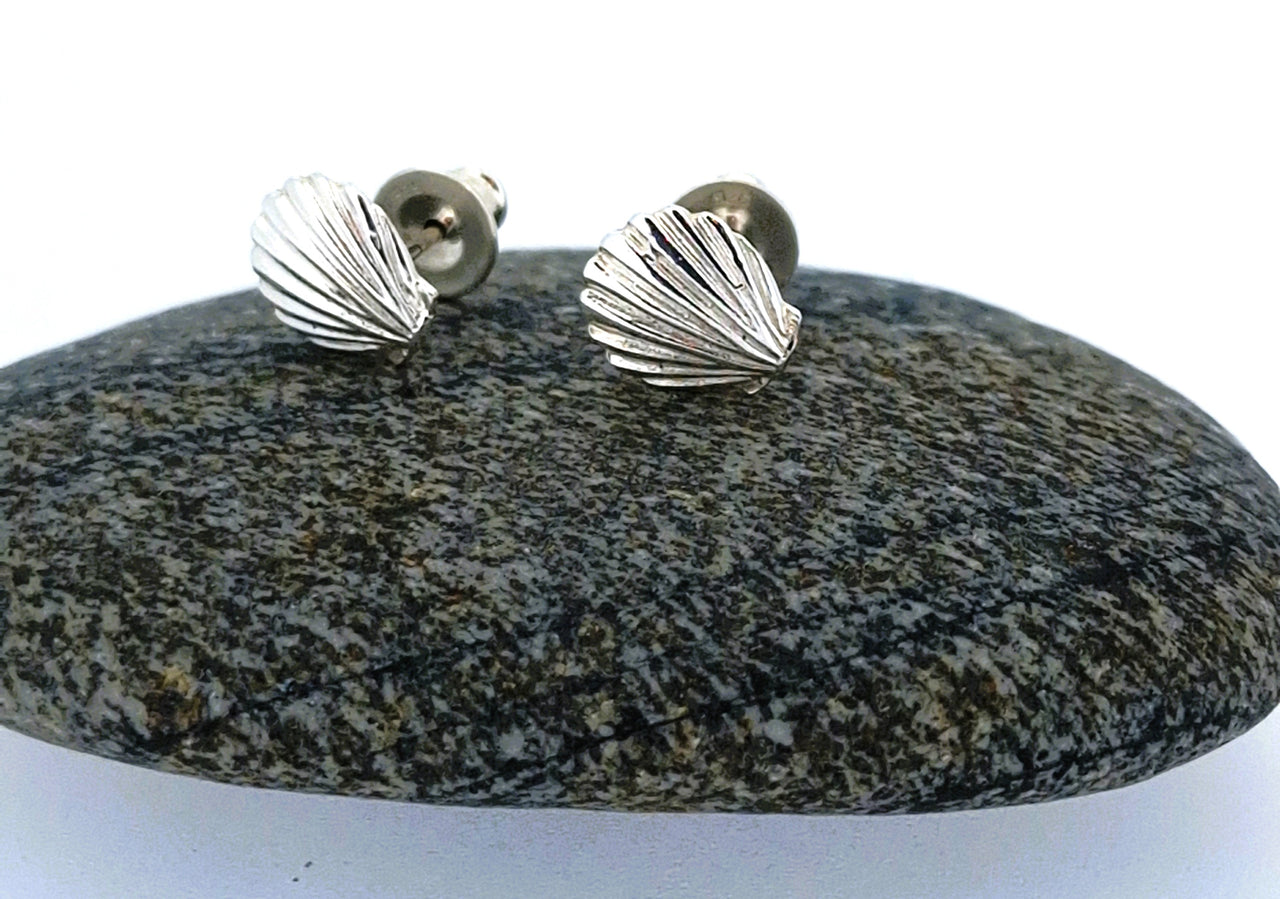 Seashell silver stud earrings